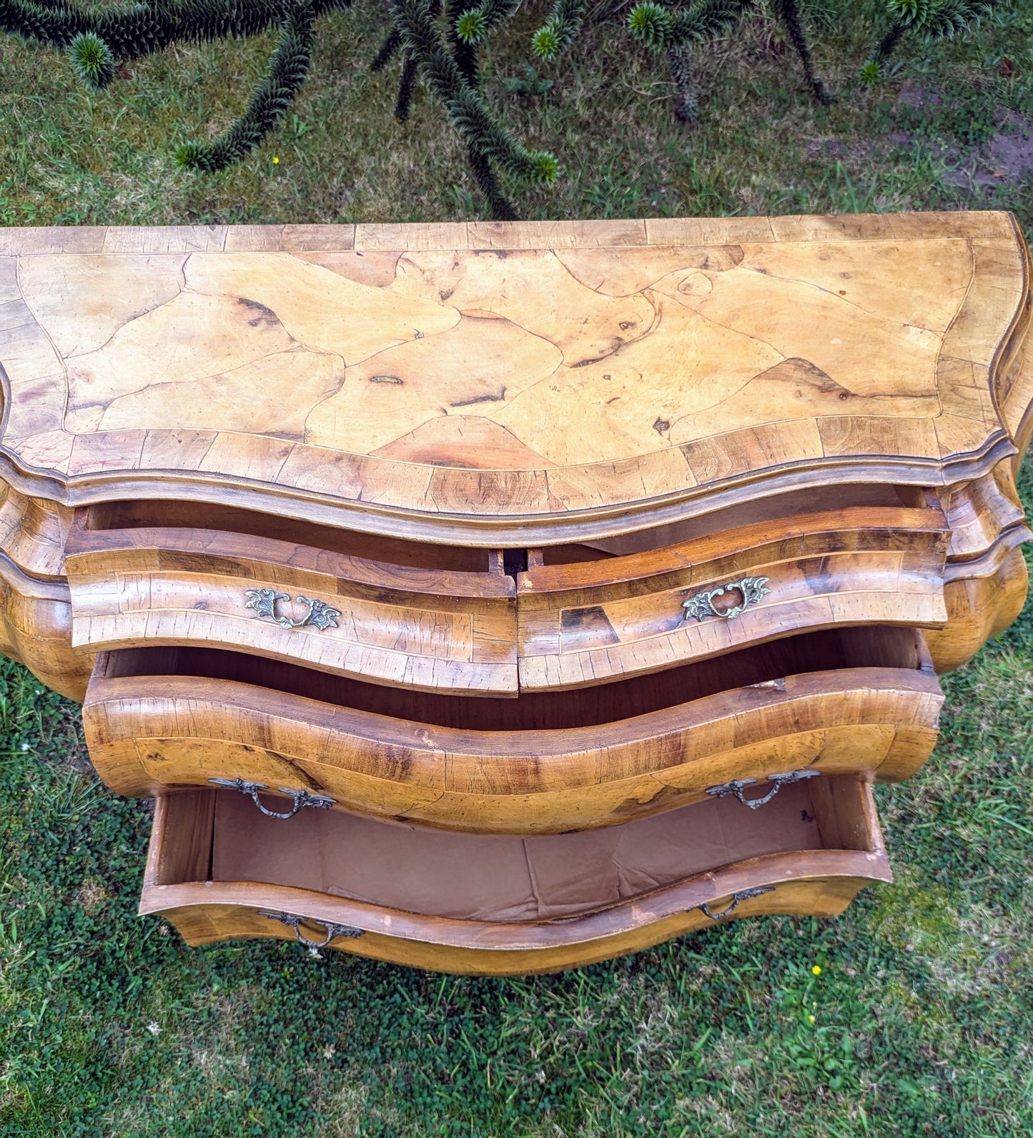 Stunning Italian Bombe Commode Olive Wood,Cast Ormolu Mounts- Delivery Available