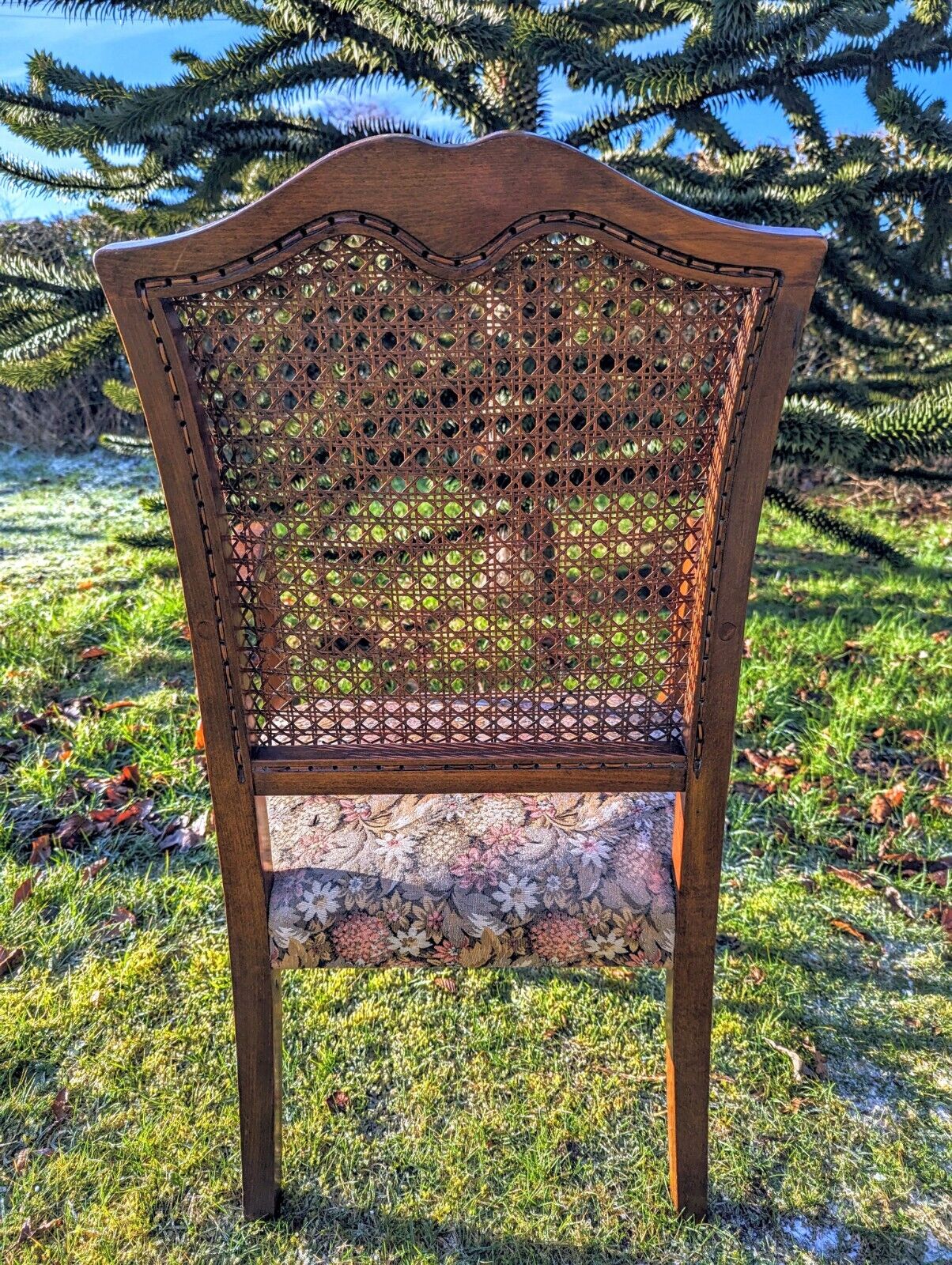 Beautiful Vintage 1930s Rattan Begere Armchair with Floral seat - Free UK Delivery