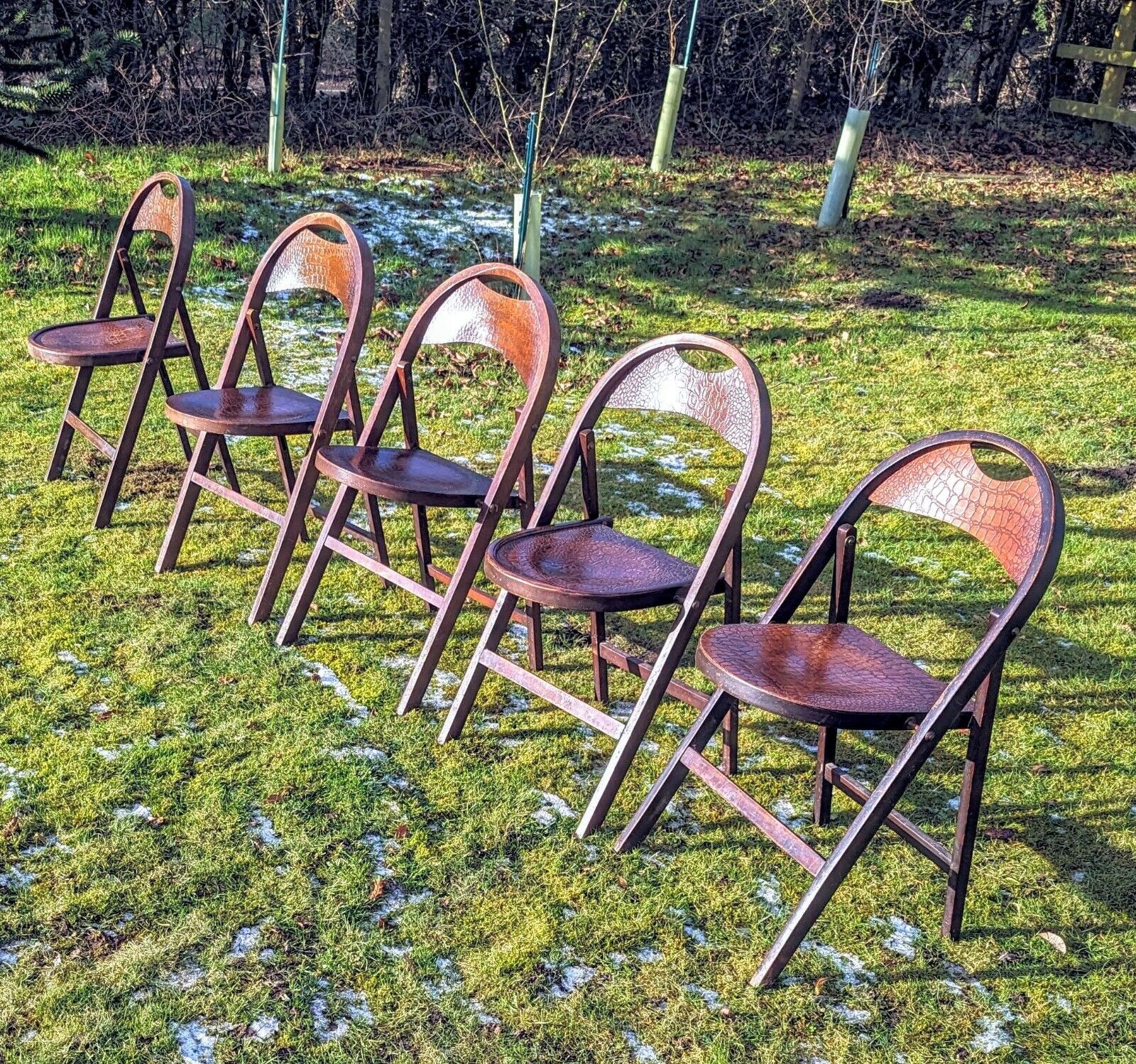 6 Bauhaus Bentwood 1930 Thonet Crocodile Effect Folding Chair