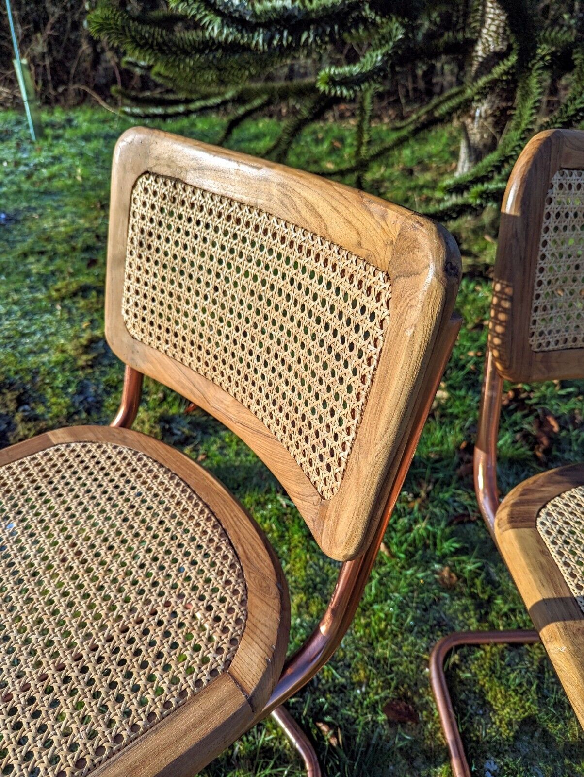 Cesca Style Vintage Oak Rose Gold Chrome & Rattan Cantilever Chairs Delivery Available