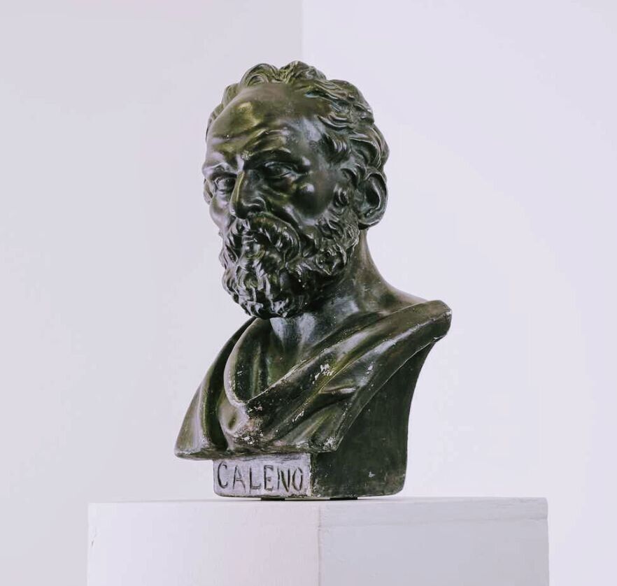 Antique bronzed plaster neoclassical bust - Caleono
