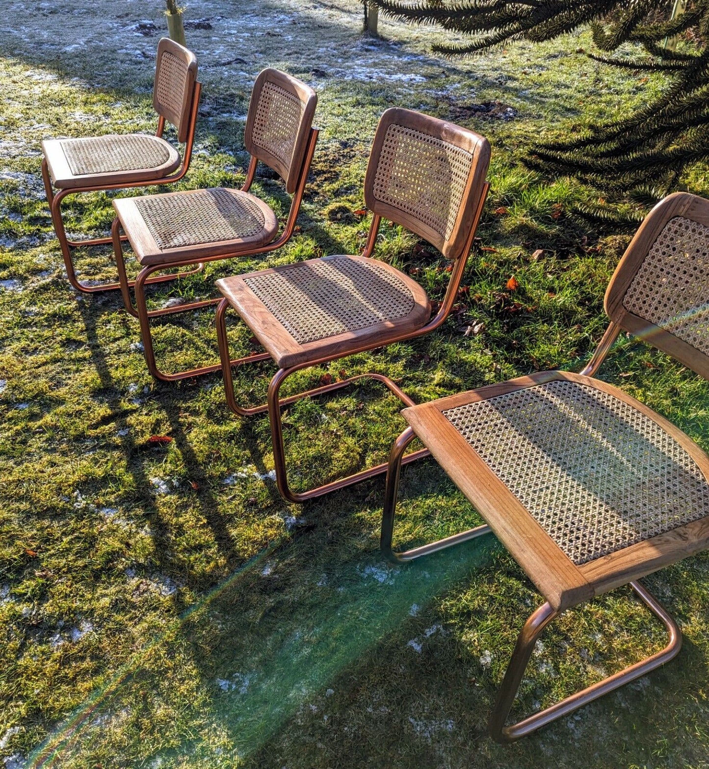 Cesca Style Vintage Oak Rose Gold Chrome & Rattan Cantilever Chairs Delivery Available