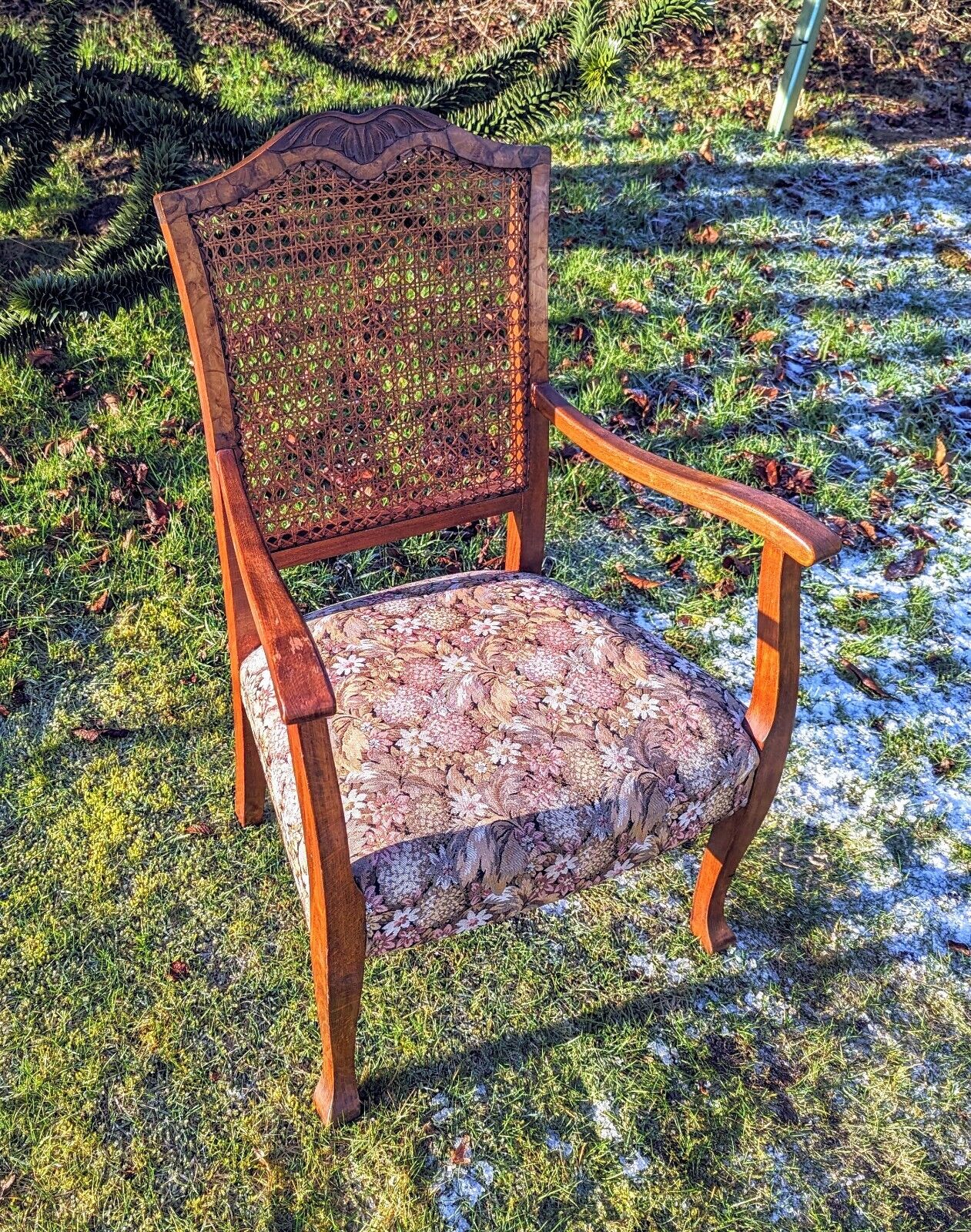 Beautiful Vintage 1930s Rattan Begere Armchair with Floral seat - Free UK Delivery