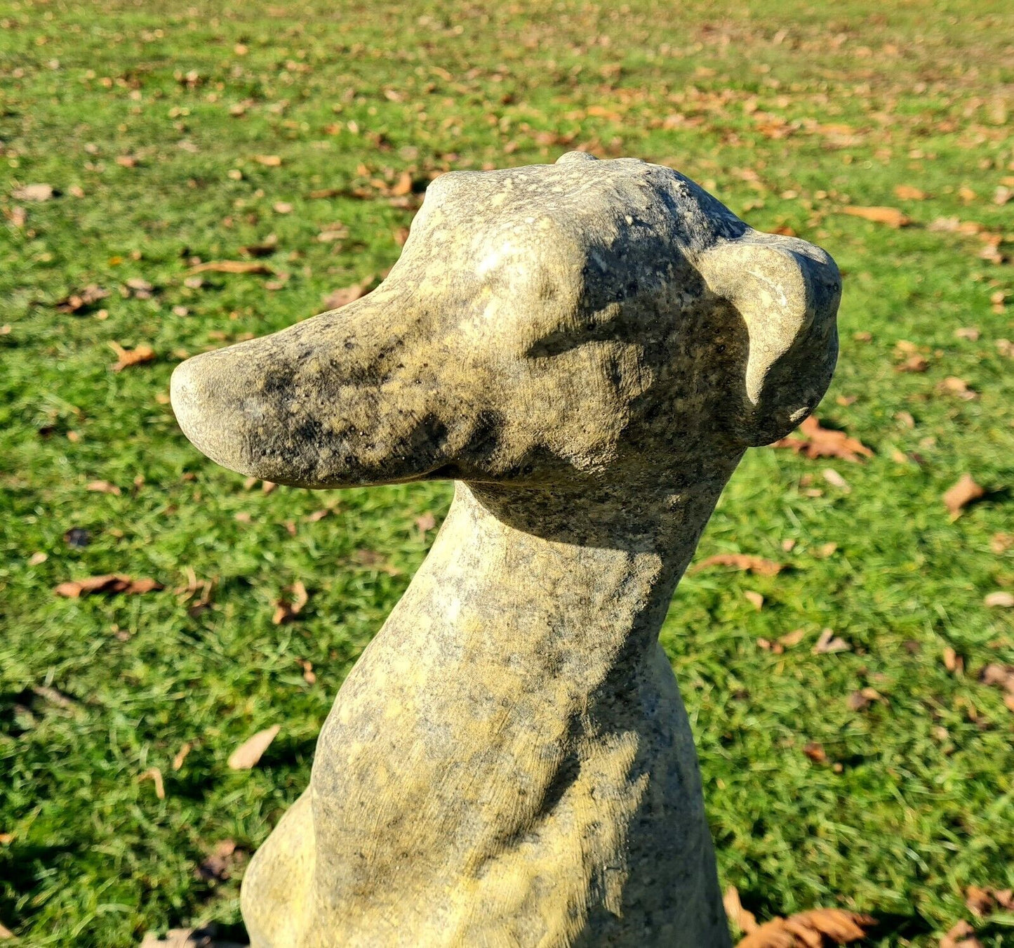 Greyhound English Stone garden ornament