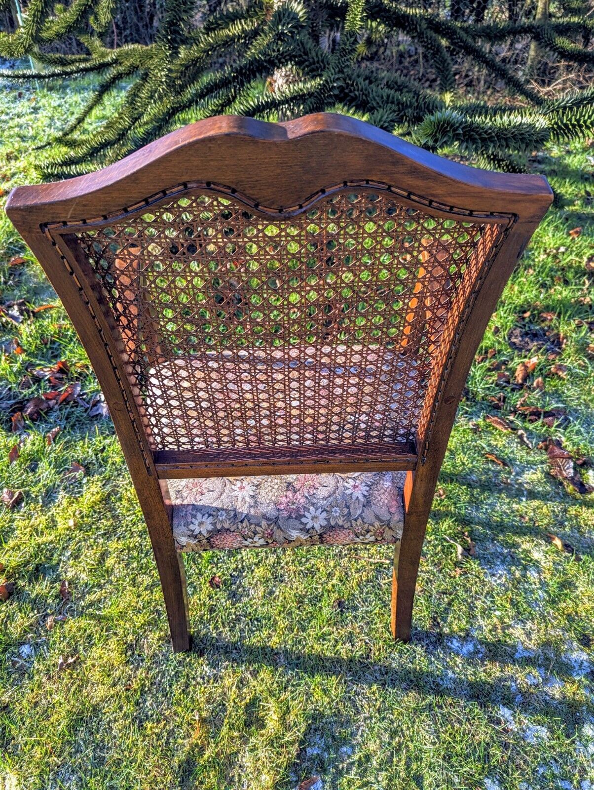 Beautiful Vintage 1930s Rattan Begere Armchair with Floral seat - Free UK Delivery