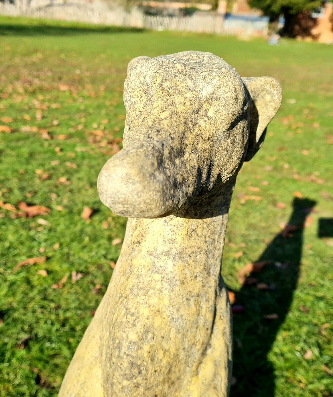 Greyhound English Stone garden ornament