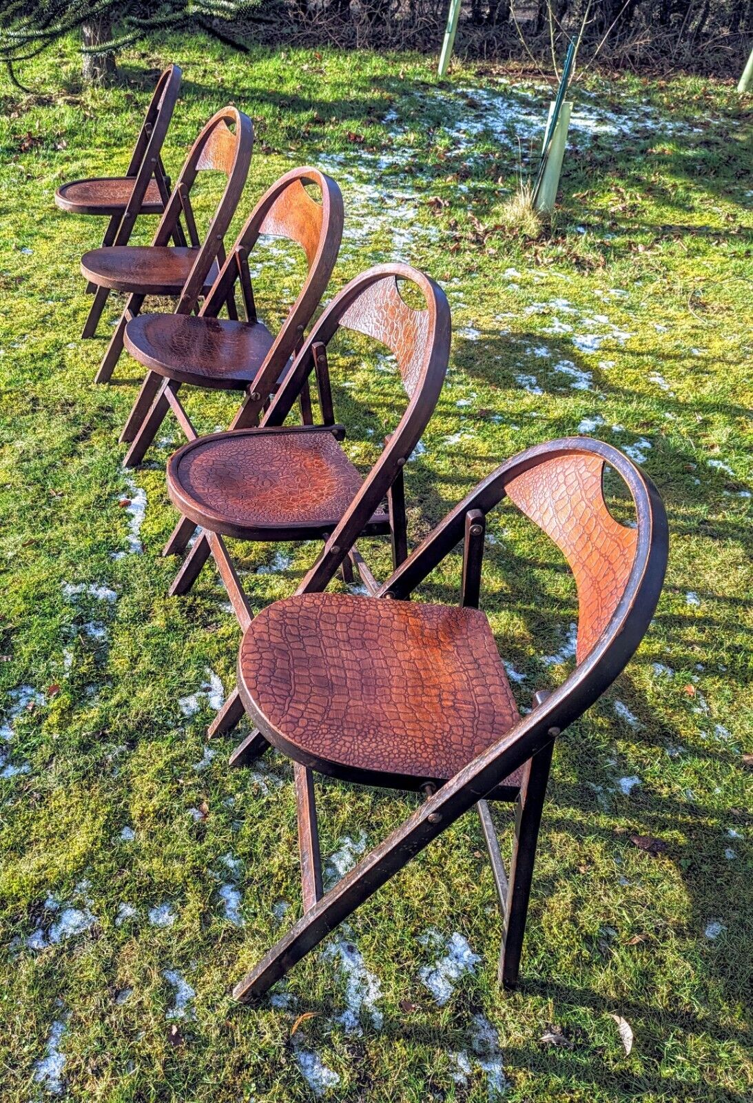 6 Bauhaus Bentwood 1930 Thonet Crocodile Effect Folding Chair