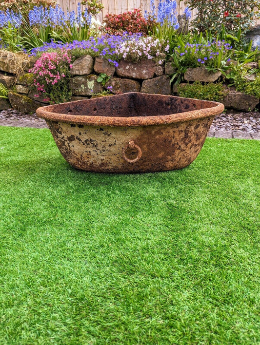 Vintage metal cow feeding planter urn