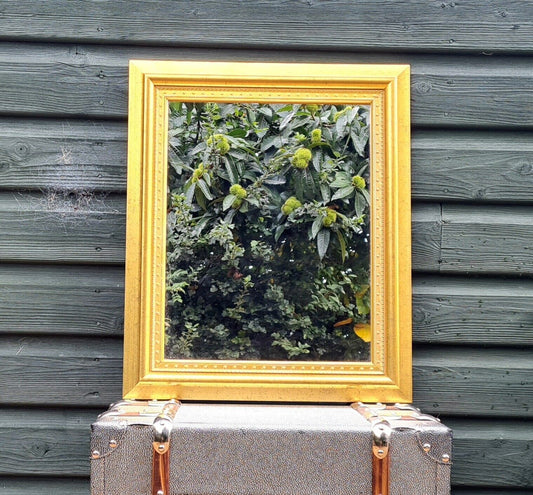 Gilded 20th century mirror - Free UK Delivery